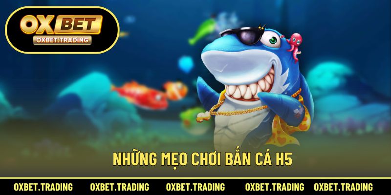 Bí quyết chơi săn cá H5 giúp tăng khả năng chiến thắng