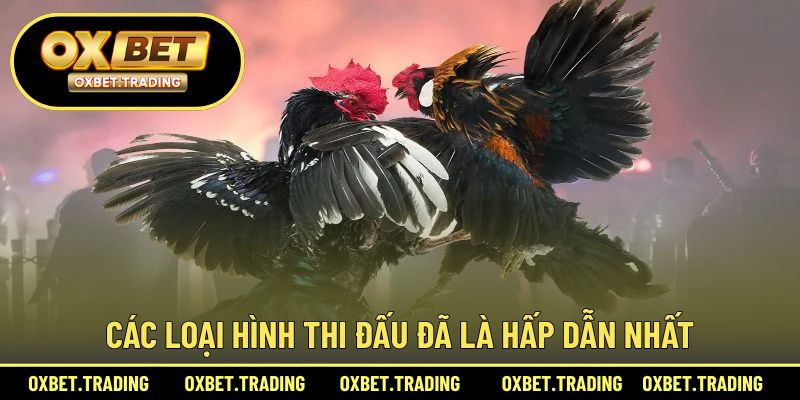 Các loại hình thi đấu đã là hấp dẫn nhất