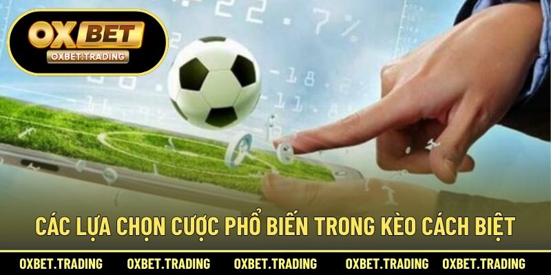 Các lựa chọn cược phổ biến trong kèo cách biệt