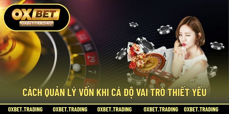Cách quản lý vốn khi cá độ vai trò thiết yếu