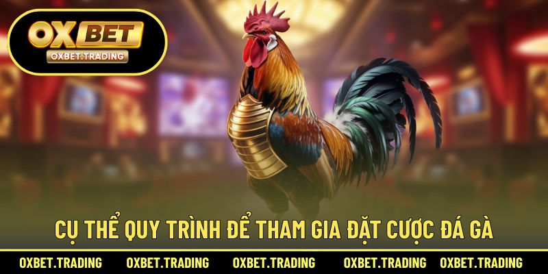 Cụ thể quy trình để tham gia đặt cược đá gà