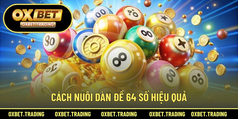 Kinh nghiệm nuôi dàn đề 64 số hiệu quả từ cao thủ lâu năm