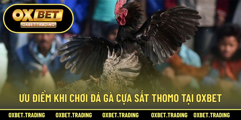 Lợi ích nổi bật khi tham gia đá gà cựa sắt tại nhà cái