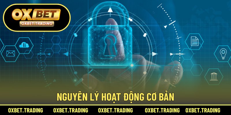 Nguyên lý hoạt động cơ bản
