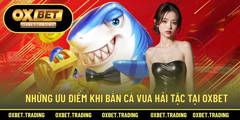 Những điểm nổi bật khi trải nghiệm săn cá vua hải tặc