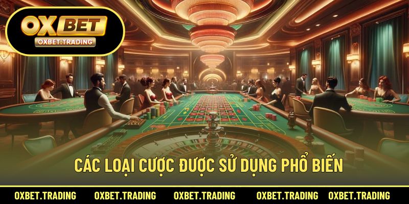 Phân tích chi tiết các hình thức cược trong roulette phổ biến hiện nay