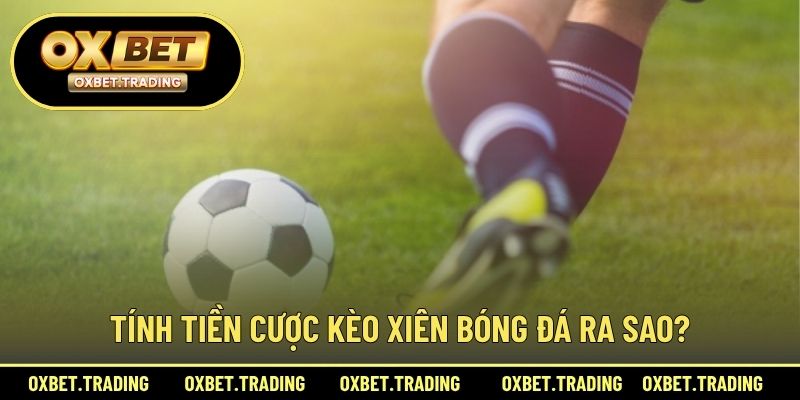 Tính tiền cược kèo xiên bóng đá ra sao?
